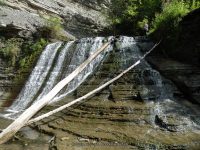SUGAR CREEK GLEN UPPER SECTION LIVINGSTON WESTERN NY 8-11-2013_00008.JPG