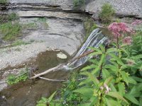 SUGAR CREEK GLEN UPPER SECTION LIVINGSTON WESTERN NY 8-11-2013_00012.JPG