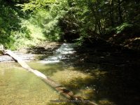 SAINT MARYS FALLS OTSEGO COUNTY CENTRAL NEW YORK 8-23-2014_00019.JPG