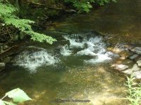 SAINT MARYS FALLS OTSEGO COUNTY CENTRAL NEW YORK 8-23-2014_00023.JPG