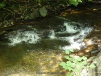 SAINT MARYS FALLS OTSEGO COUNTY CENTRAL NEW YORK 8-23-2014_00025.JPG