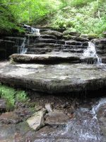 PIXLEY FALLS ONEIDA CENTRAL NEW YORK 7-31-2012_00005.JPG