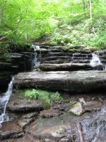 PIXLEY FALLS ONEIDA CENTRAL NEW YORK 7-31-2012_00006.JPG