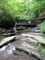 PIXLEY FALLS ONEIDA CENTRAL NEW YORK 7-31-2012_00008.JPG