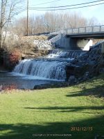 PLEASANT CREEK JEFFERSON NORTHERN NY 12-15-2012_00005.JPG