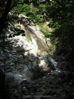 ROARING BROOK ESSEX NORTHERN NY 8-10-2011_00005.JPG