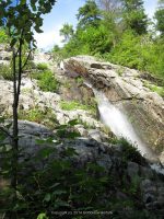 ROARING BROOK ESSEX NORTHERN NY 8-10-2011_00007.JPG