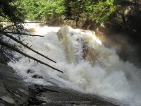 AUGARS FALLS HAMILTON NORTHERN NY 8-19-2008_00012.JPG