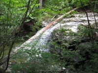 IMG_0167.JPG
