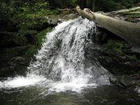 IMG_0168.JPG