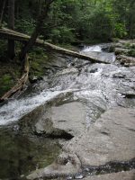 IMG_0173.JPG