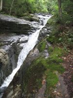 IMG_0174.JPG