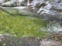 IMG_0176.JPG