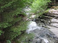 IMG_0178.JPG