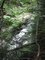 IMG_0179.JPG