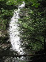 IMG_0180.JPG
