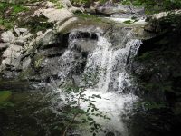 IMG_0181.JPG