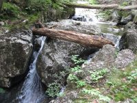 IMG_0182.JPG