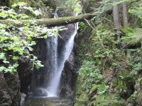 IMG_0184.JPG