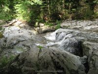 IMG_0185.JPG