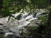 IMG_0186.JPG