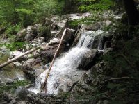 IMG_0188.JPG