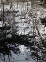 Plotterkill Falls Schenectady County Eastern New York 2-22-2014_00004.JPG