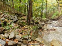 BUTTERMILK FALLS (LITTLE FALLS) HERKIMER COUNTY CENTRAL NEW YORK 10-4-2014_00013.JPG