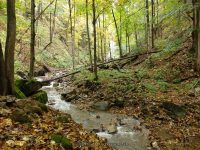 BUTTERMILK FALLS (LITTLE FALLS) HERKIMER COUNTY CENTRAL NEW YORK 10-4-2014_00015.JPG