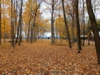 WHITAKER FALLS STATE PARK LEWIS COUNTY NORTHERN NEW YORK 10-18-2014_00004.JPG