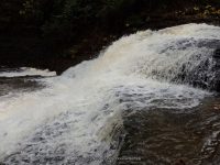WHITAKER FALLS STATE PARK LEWIS COUNTY NORTHERN NEW YORK 10-18-2014_00024.JPG