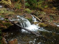 3A-BETWEEN SAW MILL AND CHEESE BOX 10-2-2014_00002.JPG