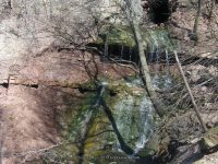 NORTONS FALLS MONROE COUNTY WESTERN NEW YORK 4-17-2009_00003.jpg