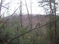 9-second bridge to first bridge_00022.JPG