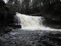 MAD RIVER FALLS OSWEGO CENTRAL NY 5-08-2011_00006.JPG
