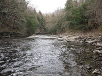 MAD RIVER FALLS OSWEGO CENTRAL NY 5-08-2011_00007.JPG