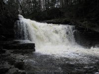 MAD RIVER FALLS OSWEGO CENTRAL NY 5-08-2011_00008.JPG