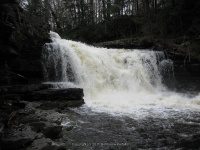 MAD RIVER FALLS OSWEGO CENTRAL NY 5-08-2011_00009.JPG