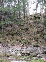 MAD RIVER FALLS OSWEGO CENTRAL NY 5-08-2011_00010.JPG