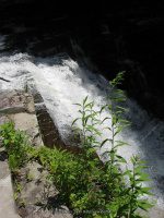 MAD RIVER OSWEGO CENTRAL NY 7-14-2011_00017.JPG