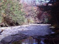 MAD RIVER OSWEGO CENTRAL NY 10-24-2007_00003.JPG