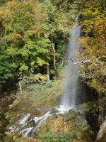 (1) FALLING SPRING FALLS COVINGTON VIRGINIA Oct 1 2013_00024.JPG