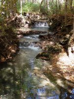 (1) FALLING SPRING FALLS COVINGTON VIRGINIA Oct 1 2013_00031.JPG