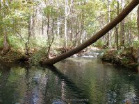 (1) FALLING SPRING FALLS COVINGTON VIRGINIA Oct 1 2013_00032.JPG