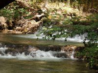 (1) FALLING SPRING FALLS COVINGTON VIRGINIA Oct 1 2013_00033.JPG