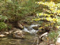 (1) FALLING SPRING FALLS COVINGTON VIRGINIA Oct 1 2013_00045.JPG
