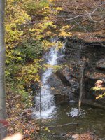 16 FALLS CREEK SENECA CENTRAL NY 10-19-2010_00003.JPG