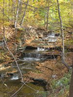 16 FALLS CREEK SENECA CENTRAL NY 10-19-2010_00007.JPG