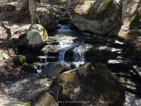 PIXLEY FALLS ONEIDA NY 4-19-2015_00008.JPG