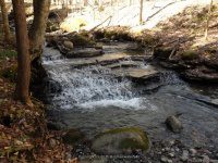 PIXLEY FALLS ONEIDA NY 4-19-2015_00012.JPG